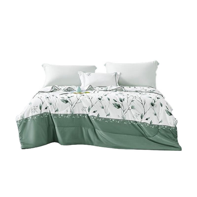 

Mengjie Home Textiles Washable Antibacterial All-Season Quilt