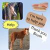 1Pcs Handheld Horse Grooming Brush Shedding Cleaning Tool Horse Hair Scrapers  for Daily Grooming