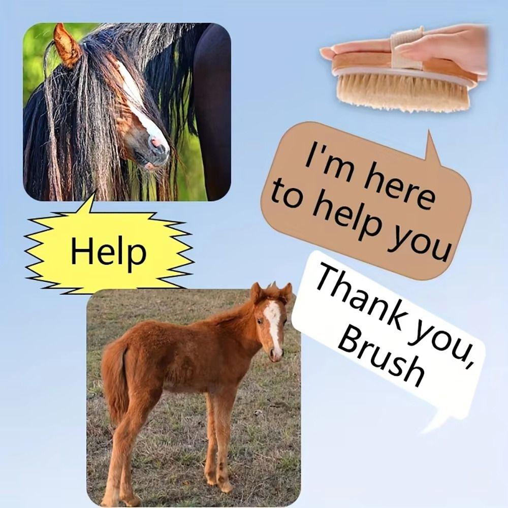 1Pcs Handheld Horse Grooming Brush Shedding Cleaning Tool Horse Hair Scrapers  for Daily Grooming
