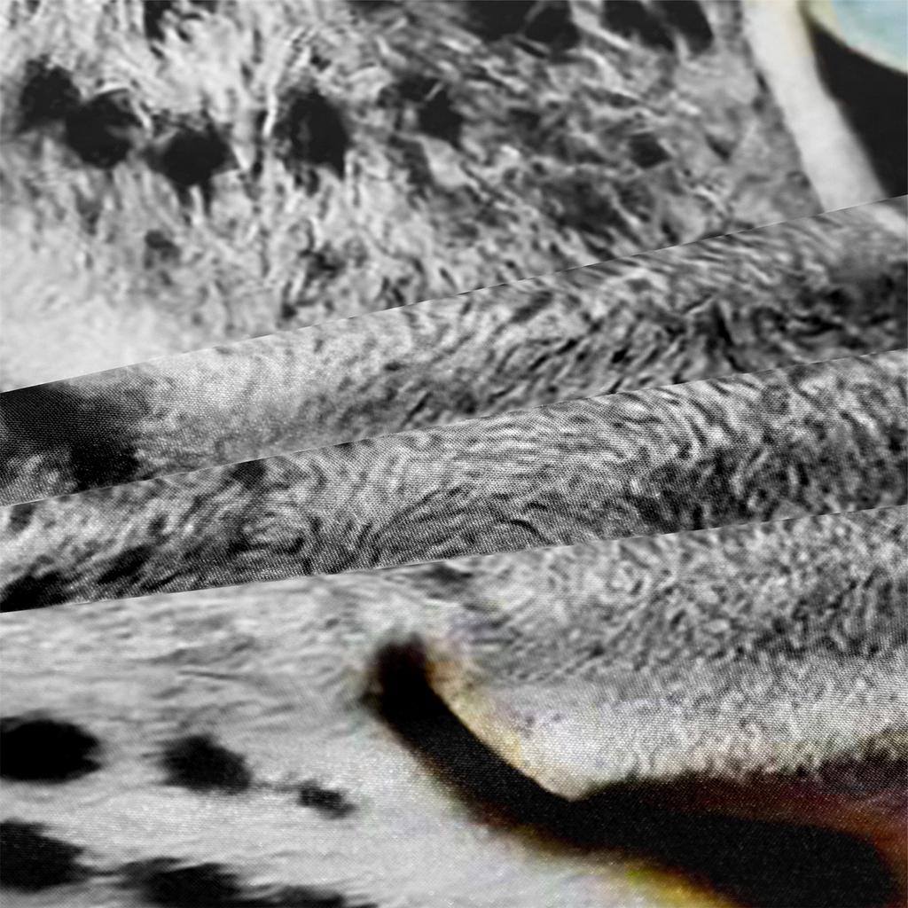 Leopardí přehoz Divoké zvíře Ložní souprava Módní Luxusní Sada přikrývky pro Dětský Chlapecký pokoj Červená Růže Polyester Festivalový Dárek Prošívaná přikrývka