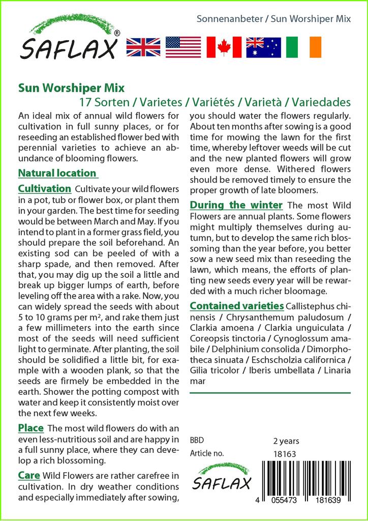 SAFLAX Sonnenanbeter-Mix – 1000 Samen – 17 Wildblumen-Mix