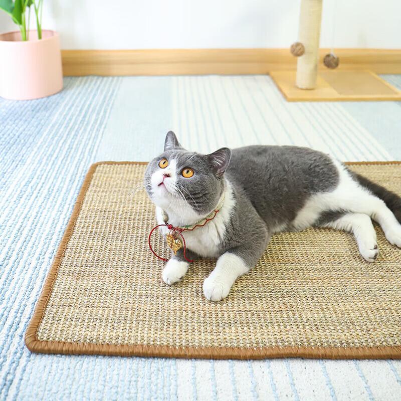 Wear-Resistant Sisal Cat Scratch Mat