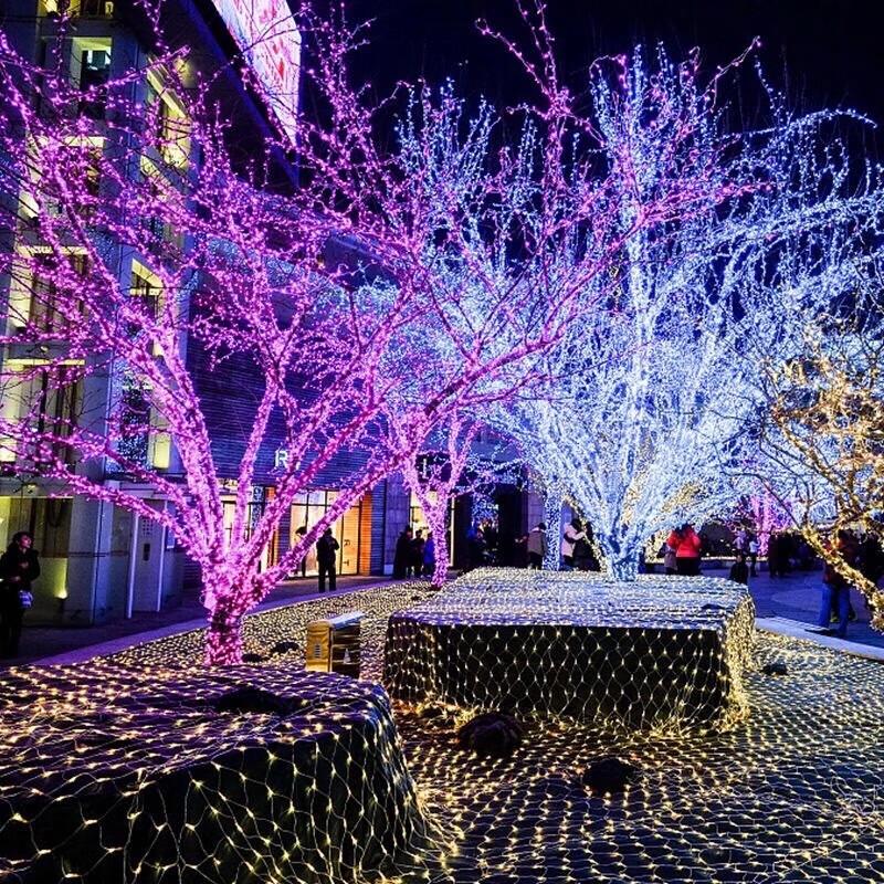 LED Decorative String Lights