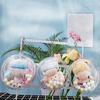 10cm Doll Clear Outdoor Doll Bag Transparent Outdoor Doll Display Bag  Plush Doll