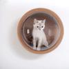 Wooden Cat Tree Wall Hanging Cat Bed Indoor DIY Spacecraft Gamma Cat Dog Pet Bed Window Small Animal Products