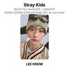 Stray Kids LEE KNOW World Tour dominATE : celebrATE SOON-DOONG-DORI KEYRING SET by Lee Know Official Photocard