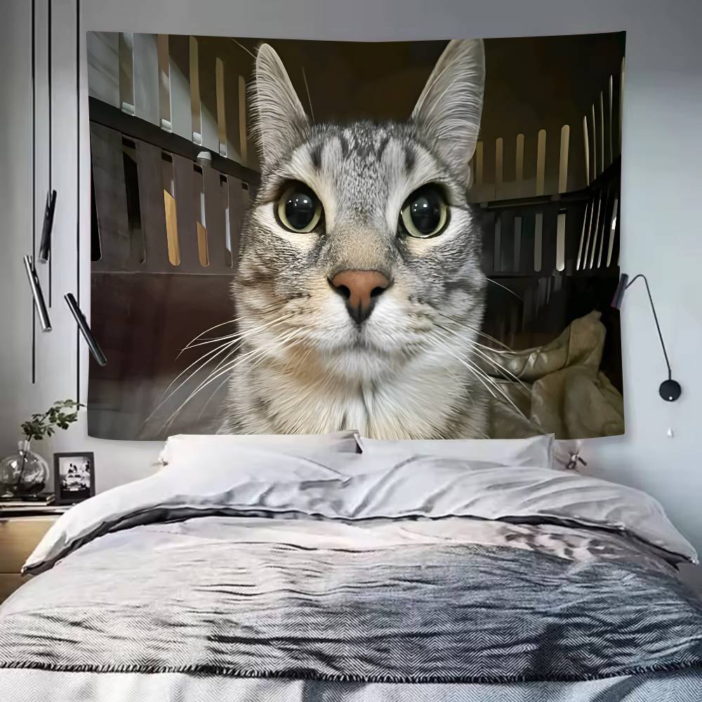 Large Fashion Cute Fuuny Popular Cat Meme Tapestry Wall Hanging Wall Rugs Dorm Decor Blanket Camping Decoration Tapestry