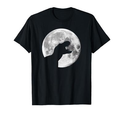 T-Rex Dinosaurier Geburtstag Dino Kostüm T-Rex Geschenk T-Shirt