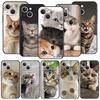 Kawaii Love Cat Phone Case For iPhone 17 16 15 Pro Max 11 12 13 14 7 8 Plus SE 2020 X XR XS Cover Soft Black
