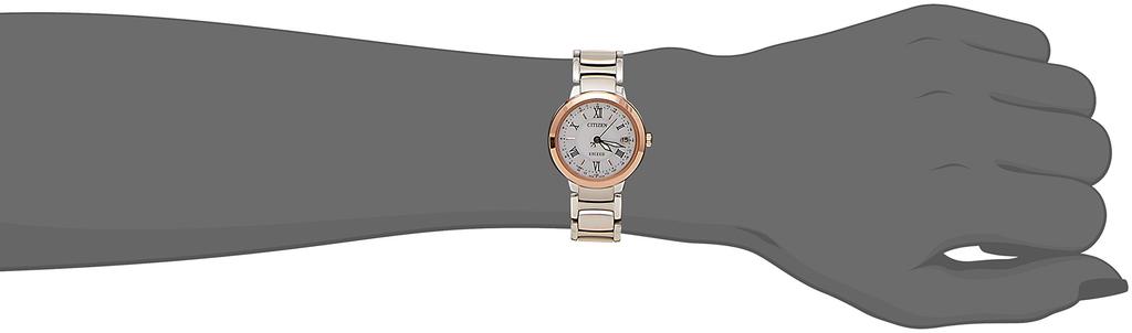 EXCEED Radio Watch Titania Line Happy Flight Series Multicolor [Citizen] Eco-Drive ES9324-51W