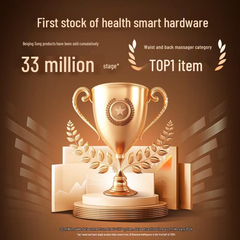 Breo Back Lite Portable Body Massager Cushion