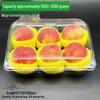 Chixing Disposable Clear Plastic Fruit Packaging Container with Lid