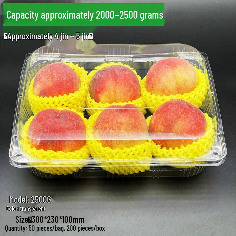 Chixing Disposable Clear Plastic Fruit Packaging Container with Lid