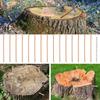 15/20 Pcs Copper Nail for Killing Trees Stumps Root Stump Removal Spikes Hardware Copper Nail Trees Tool Accessories