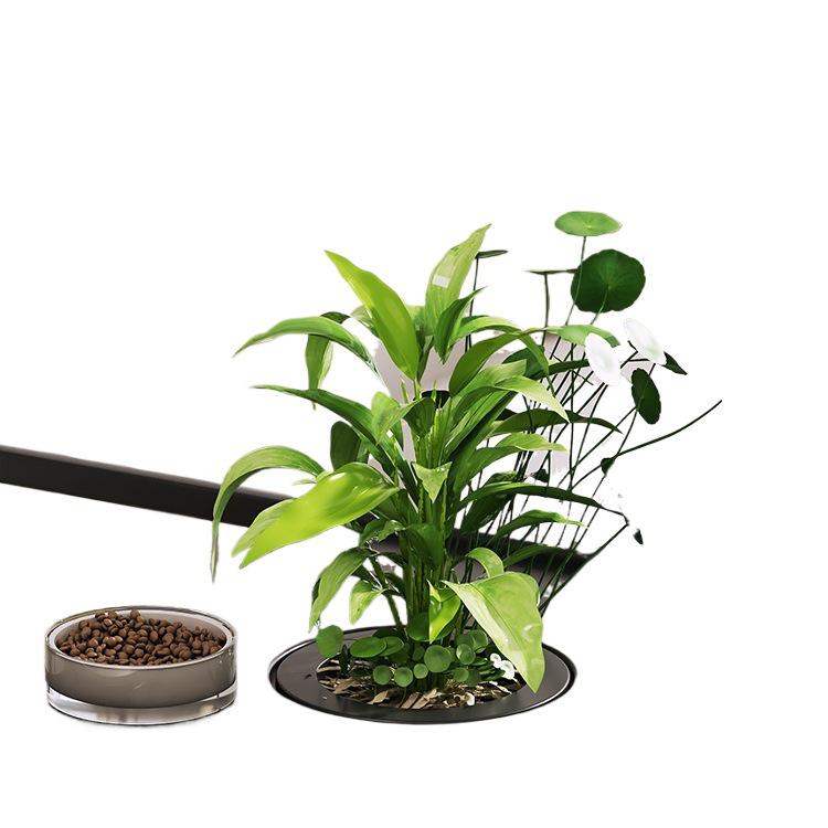 Acvariu compact ecologic 2025 pentru peștișori aurii cu filtrare, oxigenare, capac - Ideal pentru sufragerii mici