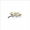 Magnolia Branch Wall Sticker Nordic Fresh Flower Self Adhesive Living Room Bedroom Decor