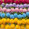 Twisting Stick Tulip Wool Flowers Never Wither Floral Arrangement Long-Lasting Keepsake Flower for Home Decor