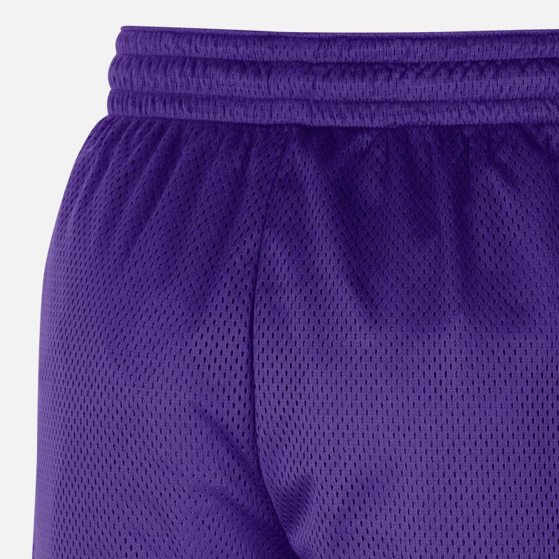 Nike NBA Los Angeles Lakers Moisture-Wicking Cool Comfortable Loose Basketball Shorts Men Shorts Purple DR2071-504