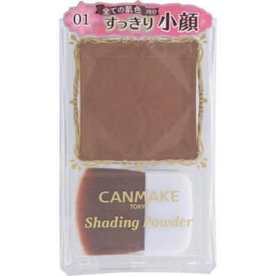 Canmake Polvere Ombreggiante 01 Marrone Danese 1