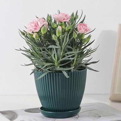 1 Set Good Strong Plastic Plant Container Non-easy Broken Flowerpot for Farm