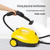 All-in-One High-Pressure Steam Cleaner for Kitchen, Range Hood, and Fabric Sofa