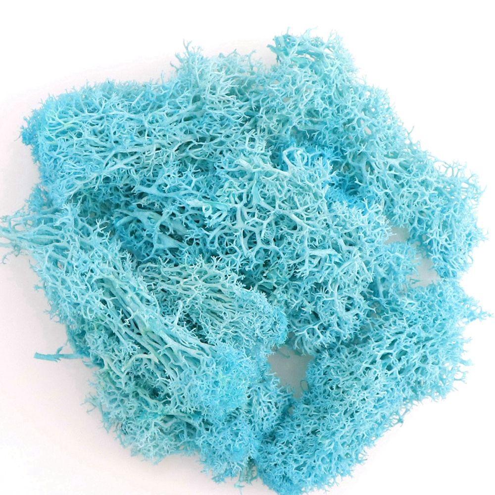 

Fake Flowers Mini Landscape Home Ornaments Eternal Moss Moss Garden Decoration Artificial Plants небесно-голубой