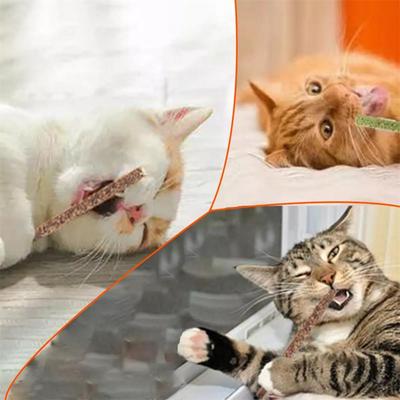 6 Sticks/box Natural Catnip Pet Cat Toothpaste Stick Cat Snacks Sticks Pet Cleaning Teeth Safe Cat Toys Silver Vine Pet Toy