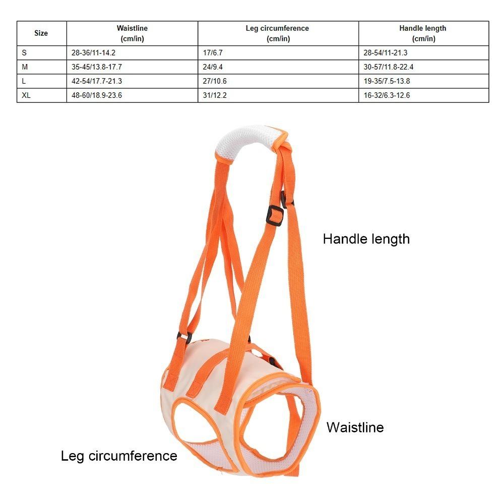 Lightweight Build Dog Lift Harness Breathable Mesh Dog Support Strap Injury Assistance