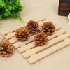 1-15CM Pine Cone Christmas Ornament: Creative DIY Handmade Decoration & Photography Prop