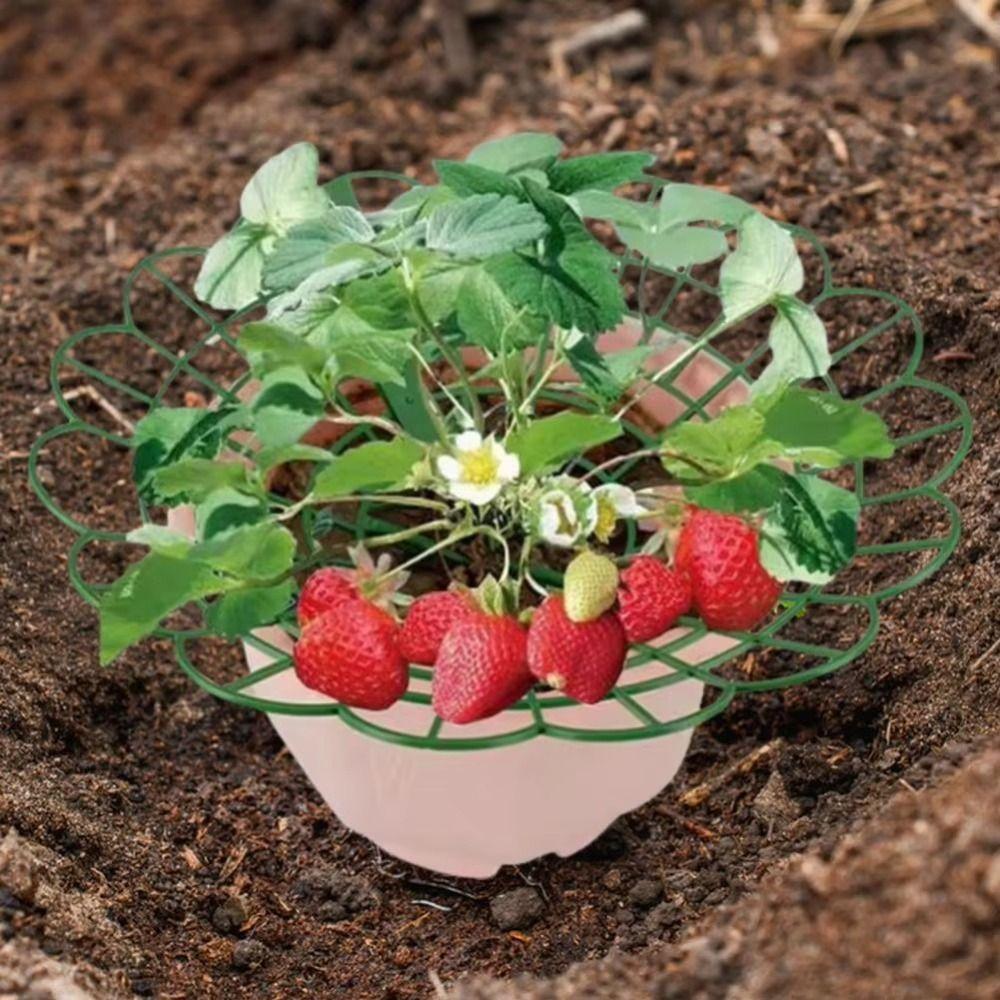 1/3Pcs Anti-ground Strawberry Stand  for Protecting Strawberries from Mold Rot and Dirt