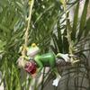 Hängende Schaukel Frosch Harz Ornament Mit Weinkelch Baum Hängende Statue Hof Terrasse Balkon Garten Mikro Landschaft Dekor