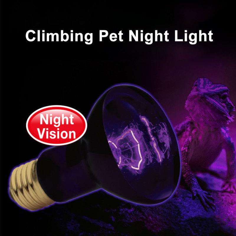 reptile night light