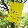 5 Pcs Insect Trap Large Area Hanging Sticky Glue Boards Fly Pest Bug Catcher Plate