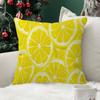 Abstract  Lemon Summer Cushion Cover Inches Farmhouse Decor Home Throw Pillow Covers For Couch Decorations