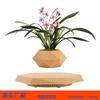 Creative Magnetic Levitation Potted Bonsai Plants