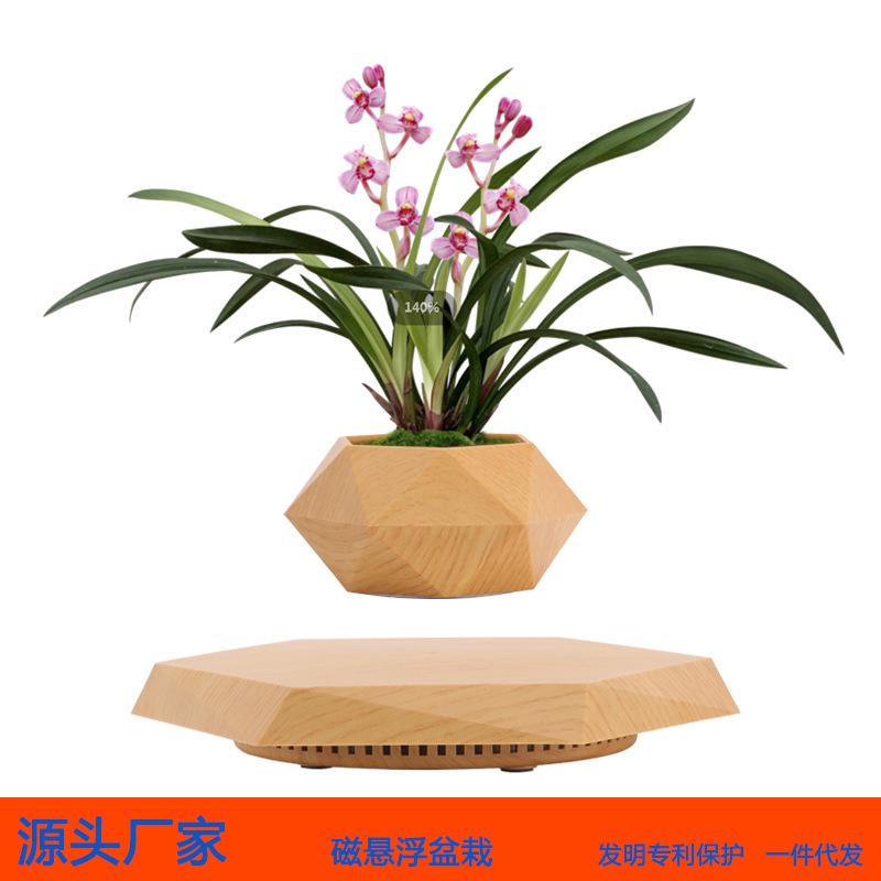 Creative Magnetic Levitation Potted Bonsai Plants
