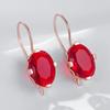 Shiny Red Natural Zircon Drop Earrings For Women Fashion  Rose Gold Color High Quality Daily Fine Vintage Jewelry