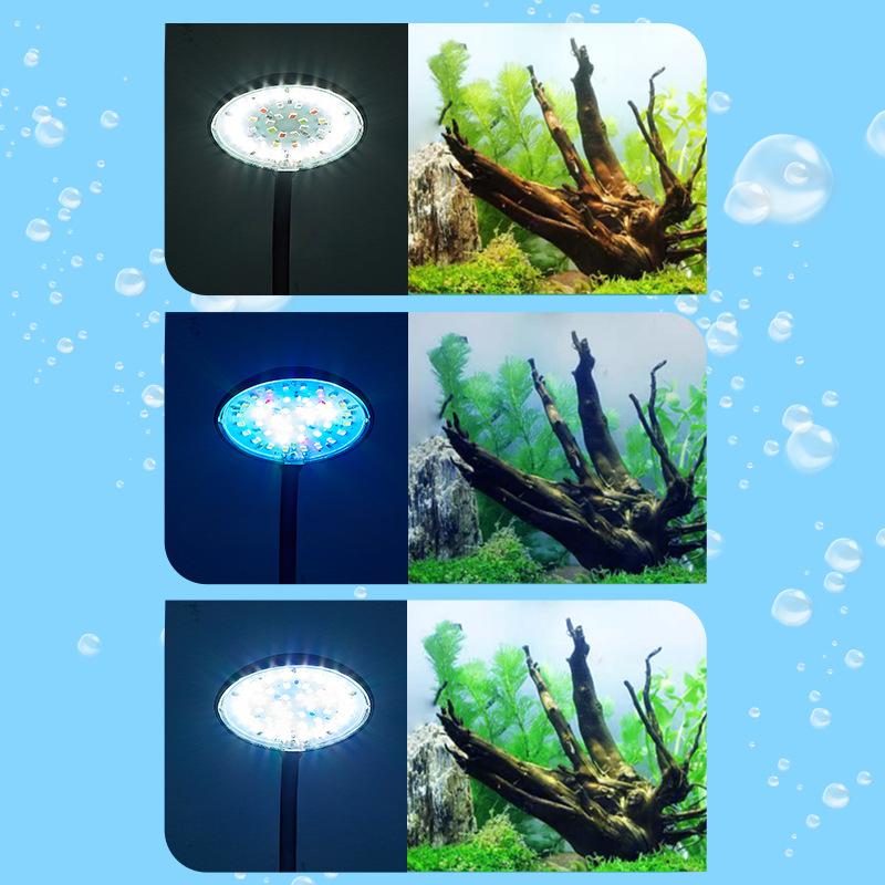 5W\7W Aquarium Klemmlampe USB Stromversorgung Dekorieren LED Vollspektrum Wasserdichte Lampe Algenlampe Zierkleinaquarium Beleuchtung
