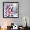 Snow Girl Special Shape Partial Drill Dimond Art Paintings for Gift Home Wall Decor Crystal Rhinestones Diamond Painting 30x30cm