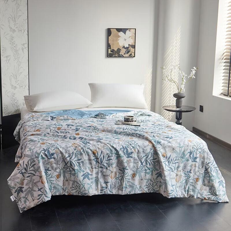 

Taihu Snow 100% Natural Silk Summer Cool Quilt