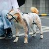 Dog Raincoat Clothing Four-Legged Waterproof Full-Body Cover for Golden Retriever, Shiba Inu, Large, Small, Medium, and Large Dogs, Pet Clothing Rain