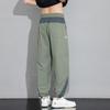 Warrior Men's Ice Silk Quick Dry Sports Pants