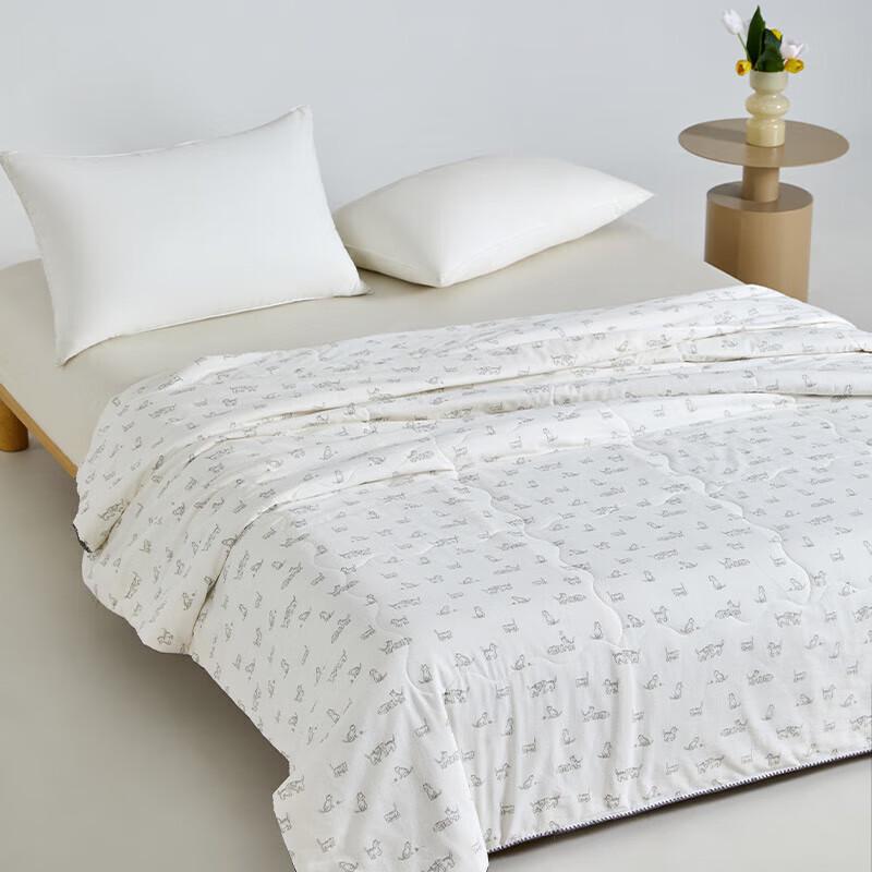 Muji Class A Pure Xinjiang Cotton Summer Quilt