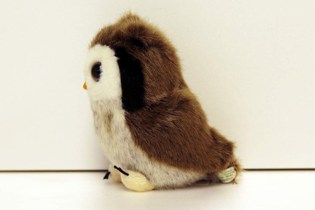 Yoshitoku Länsuggla 180519 Vänner,