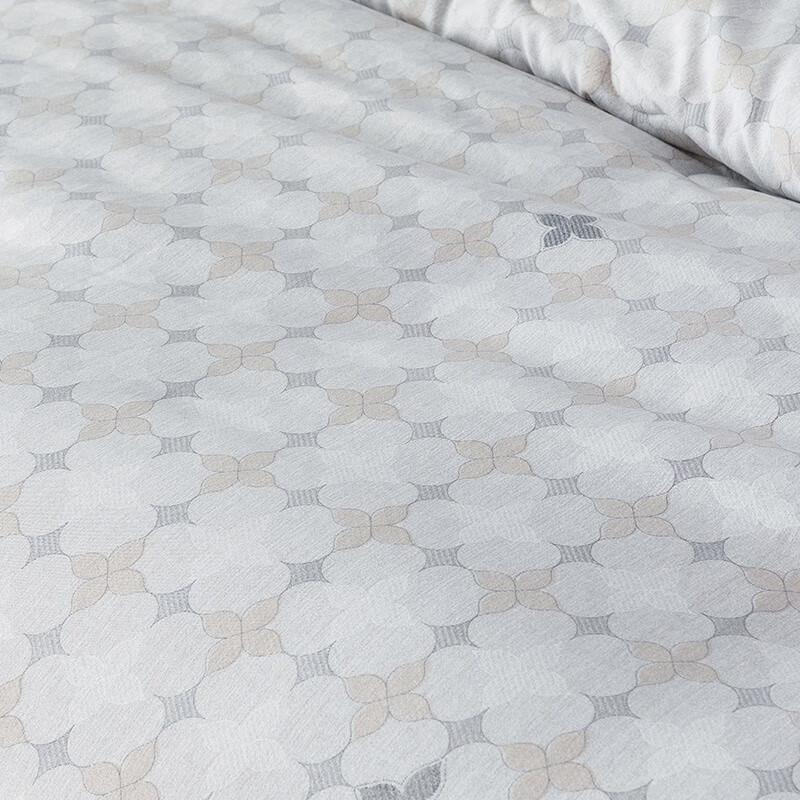 Shanshan Graphene Tech Warming Winter Quilt