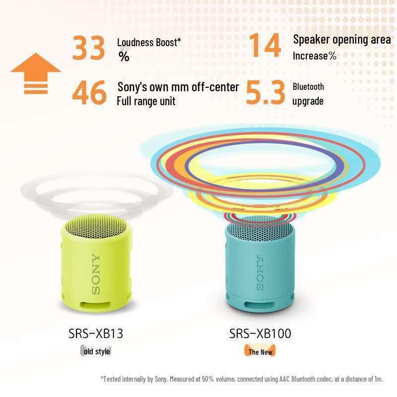 Sony SRS-XB100 Portable Bluetooth Speaker (CN Version)
