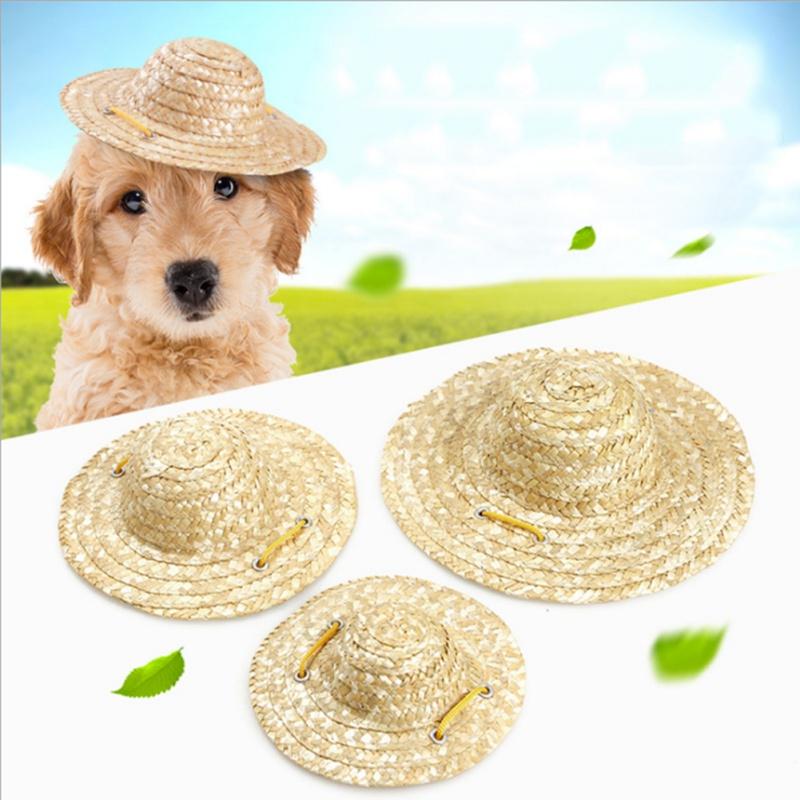 dog beach hat