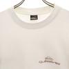 Quiksilver Made in USA Back logo Short sleeve T-shirt L Single stitch Men's Used