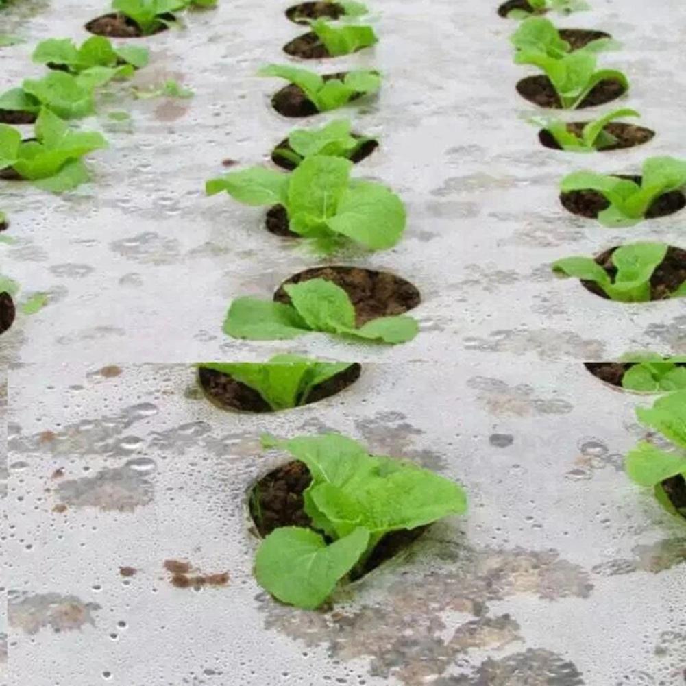 Hot Sale Plants Film Ground Cover Anti Grass Farm Vegetable