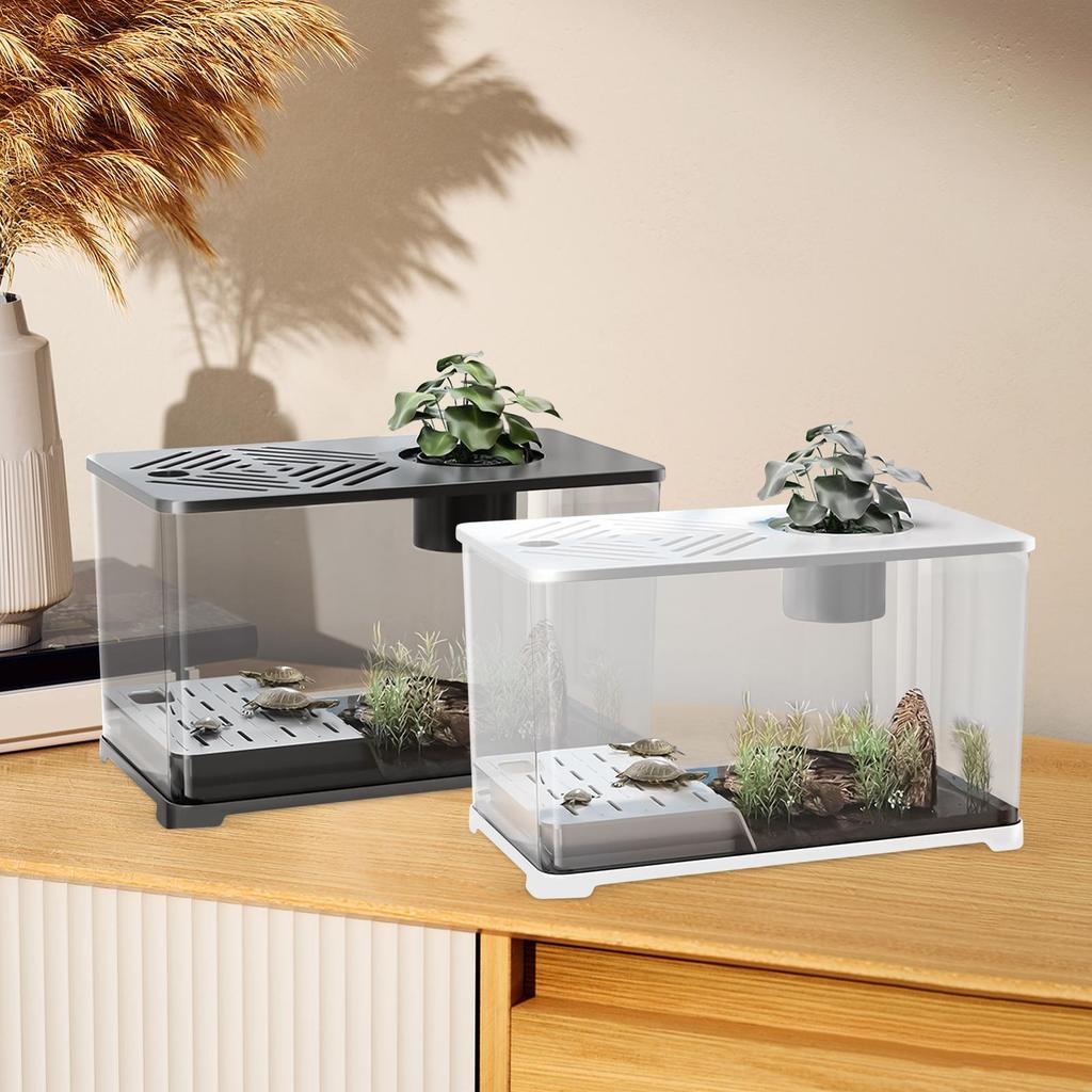 Betta Fish Tank Desktop Large Fish Tank Aquarium Modern Container With Turtle Resting Area Home Decorations For Betta Shrimp